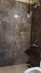 Image of 891 Sq.ft 2 BHK Apartment / Flat for rent in Nyati Elan, Wagholi, Pune for Rs. 26000