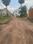 Dharitri New Royal Enclave Internal Roads 2