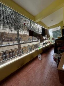 Balcony Image of 1310 Sq.ft 2 BHK Apartment / Flat for rent in Creative Residency, HSR Layout Bengaluru for Rs. 55000