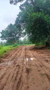 Chandaka Plot View 3