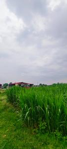Image of 43560 Sq.ft Residential Plot / Land for sale in Kandukur, Hyderabad for Rs. 15000000