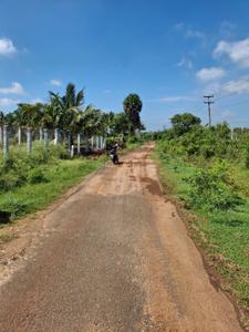 Image of 10018 Sq.ft Residential Plot / Land for sale in Palathurai, Coimbatore for Rs. 6500000