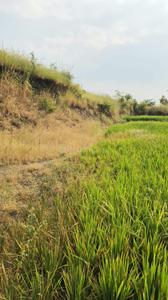 Image of 11000 Sq.ft Residential Plot / Land for sale in Nasrapur, Pune for Rs. 2100000