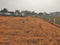Atchutapuram Plot View 2