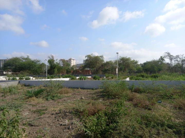 Phase 3 Main Image 1