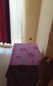 Bedroom Image of 740 Sq.ft 3 BHK Apartment / Flat for sale in ROF Aalayas Phase 2, Sector 102 Gurgaon for Rs. 8285000