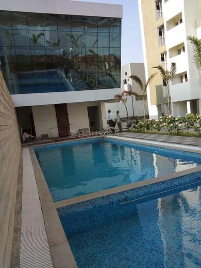 Majestique Magnum Main Image 1