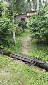 Residential Plot