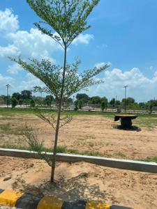 Image of 1515 Sq.ft Residential Plot / Land for sale in Narayan Vihar, Jaipur for Rs. 5951875
