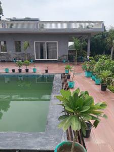 Image of 1008 Sq.ft 3 BHK Farm House for sale in DPL Nature Retreat, Tech Zone, Greater Noida for Rs. 8000000