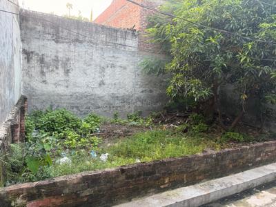 Para Plot View 3