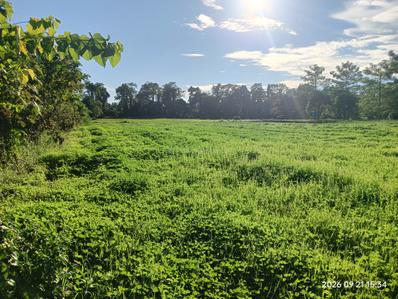 Image of 14400 Sq.ft Residential Plot / Land for sale in Ram Nagar, Dhemaji for Rs. 889999