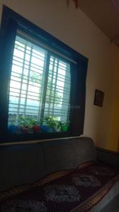 Hall Image of 500 Sq.ft 1 RK Apartment / Flat for rent in Paradise The Landmark At XLO Point, Chunchale Nashik for Rs. 4000