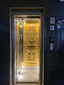 Lift Image of 452 Sq.ft 2 BHK Apartment / Flat for sale in RWA Om Vihar, Uttam Nagar New Delhi for Rs. 2600000