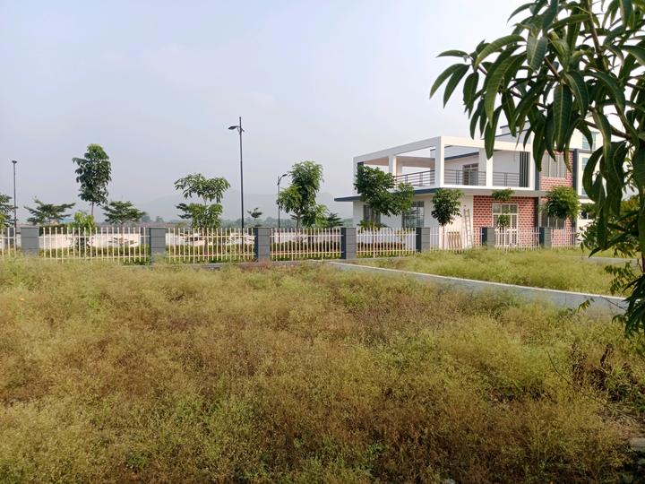 Loni Kalbhor Main Image 1