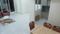 Indiabulls Sky Forest Living Room 1