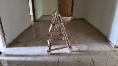 Living Room Image of 1299 Sq.ft 3 BHK Apartment / Flat for sale in Keshtopur Kolkata for Rs. 7000000
