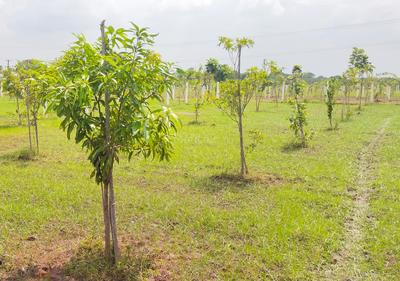 Image of 9600 Sq.ft Residential Plot / Land for sale in Walajabad, Chennai for Rs. 2496000