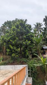 Balcony Image of 1350 Sq.ft 4 BHK Independent House for sale in Thiruvalla Pathanamthitta for Rs. 8500000