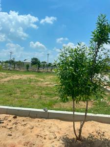 Image of 1480 Sq.ft Residential Plot / Land for sale in Narayan Vihar, Jaipur for Rs. 5798521