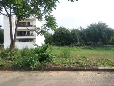 Sector 84 Plot View 1
