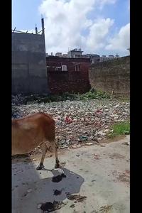 Arjunganj Plot View 2