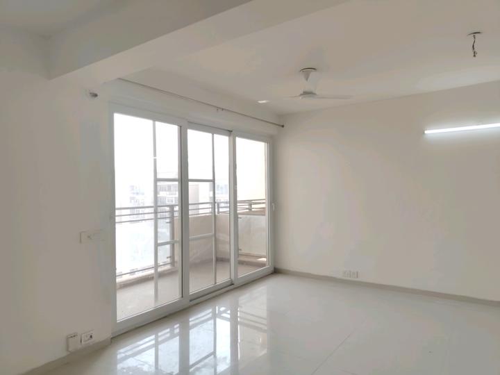 Tulip Yellow Main Image 1