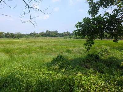 Residential Plot