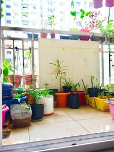 Balcony Image of Mantri celestia  in Gachibowli, Hyderabad