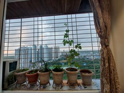 Balcony Image of 1600 Sq.ft 3 BHK Apartment / Flat for sale in Gami Reagan, Ghansoli Navi Mumbai for Rs. 30000000