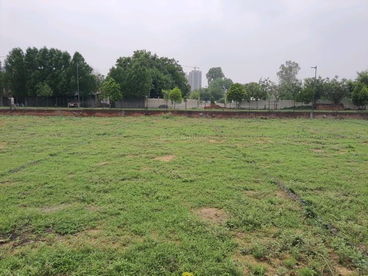 Corona Greens Main Image 1