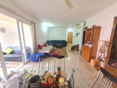 Hall Image of 2650 Sq.ft 3 BHK Apartment / Flat for rent in Marvel Piazza Phase 01, Viman Nagar Pune for Rs. 96000