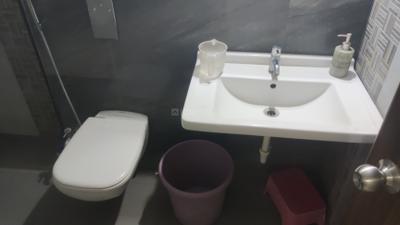 Image of 741 Sq.ft 2 BHK Apartment / Flat for rent in Pegasus Megapolis Saffron, Hinjawadi Phase 3, Pune for Rs. 32000