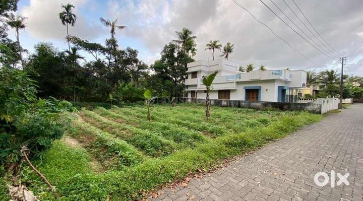 Angamaly Main Image 1