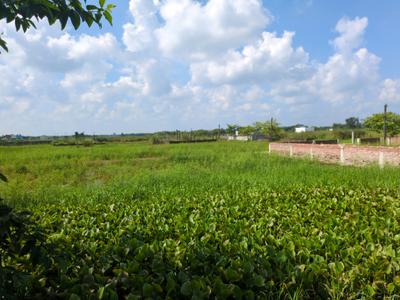 Image of 1440 Sq.ft Residential Plot / Land for sale in Raspunja Township, Joka, Kolkata for Rs. 512211