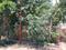 Sec 55 Plot View 2