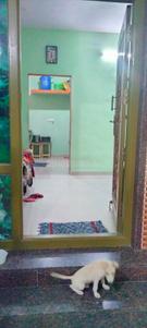 Hall Image of 800 Sq.ft 2 BHK Independent House for sale in Ammapalayam Tiruppur for Rs. 4500000