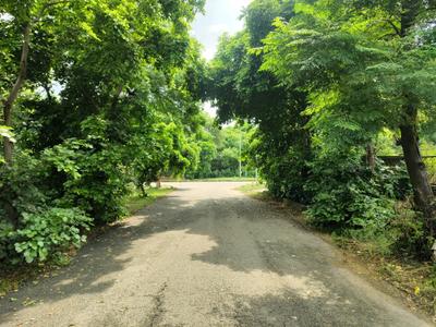 Image of 200 Sq.ft Residential Plot / Land for sale in Eachachhar, Greater Noida for Rs. 30000000