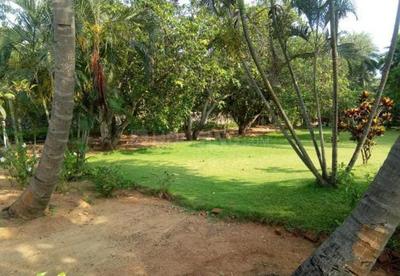 Image of 6800 Sq.ft 5 BHK Independent House for sale in Neelankarai, Chennai for Rs. 170000000