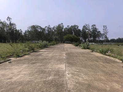 Image of 1500 Sq.ft Residential Plot / Land for sale in Hoskote, Bengaluru for Rs. 4200100