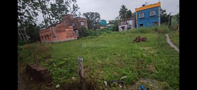 Image of 2880 Sq.ft Residential Plot / Land for sale in Dhaniakhali, Hooghly for Rs. 2000000