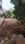 Gachibowli Main Image 1