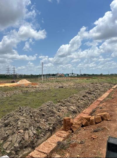 AIIMS CITY Main Image 1