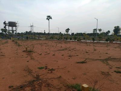 SGD Developers Plot View 2