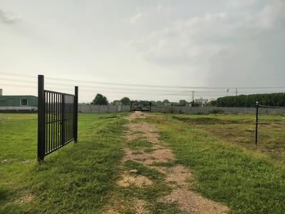 Residential Plot