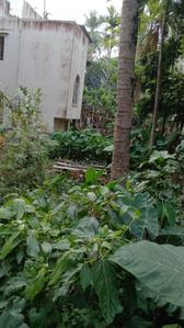 Image of 2160 Sq.ft 5 BHK Builder Floor for sale in Sodepur, Kolkata for Rs. 7500000