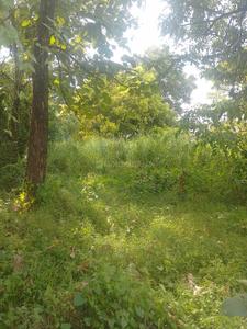 Image of 10890 Sq.ft Residential Plot / Land for sale in Chembukkav, Thrissur for Rs. 25000000