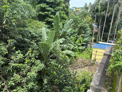 Arabinda Pally Plot View 3