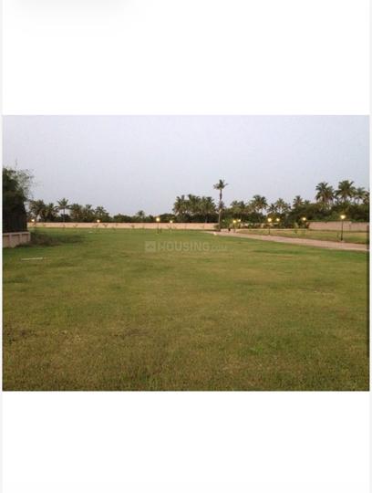 Ikonn Palms Main Image 1