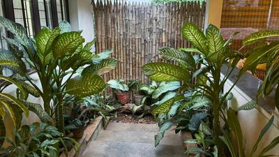 Balcony Image of 3000 Sq.ft 4 BHK Independent House for sale in Injambakkam Chennai for Rs. 85000000